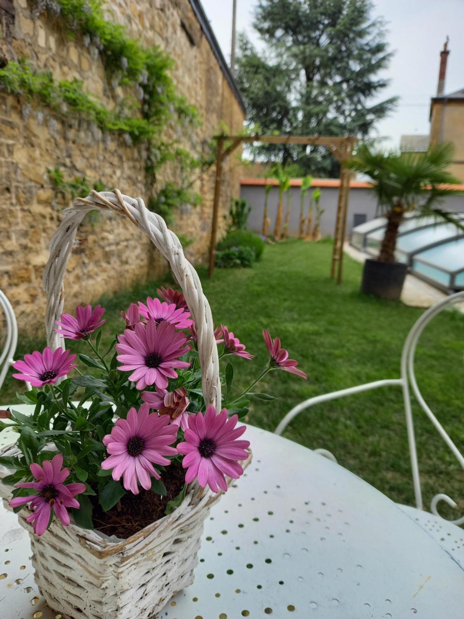 Appartement, 2Eme Etage Avec Piscine Partagee Sedan Eksteriør billede